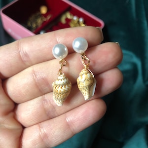 May include: A pair of dangle earrings featuring small seashells with a cream and brown pattern. Each earring has a white pearl at the top, connected by gold-colored wire. The earrings are displayed against a soft green background.