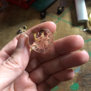 May include: A clear, round resin pendant containing miniature mushrooms and reddish-brown plant matter. The pendant is held in a hand, showcasing the intricate details of the natural elements encased within.