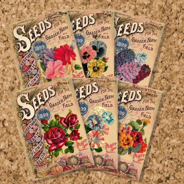 Printable Vintage Seed Packets Flower Seed Packages Gift Tags Garden Ephemera Instant Digital Collage Sheet Download