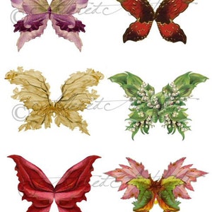 Printable Fairy Wings Digital Fairy Wing Printable Floral Botanical Wings Wing Clip Art Printable Scrap Collage Sheet Instant Download