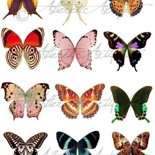 Digital Collage Sheet Butterflies Wings Jpeg-instant Download | Etsy