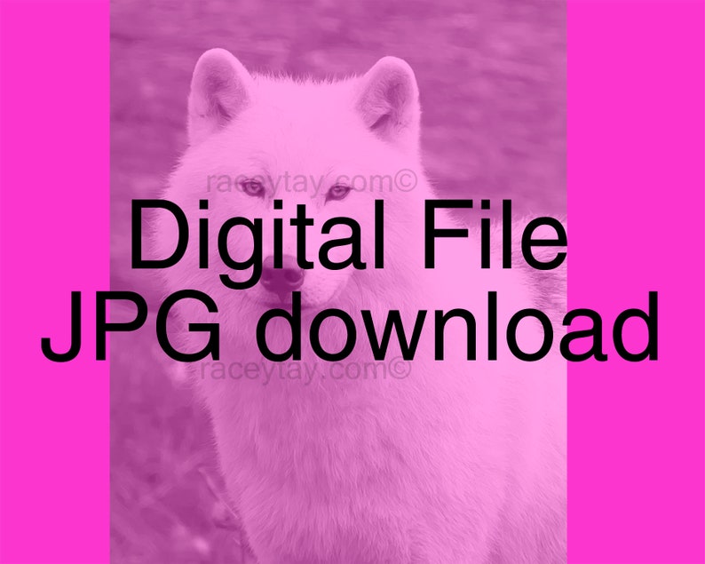 Digital Wolf Print Printable Black and White Nature Etsy