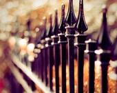 Autumn New York City Print, Black, Orange, Gold, Rustic Wall Art, New York Photography, Old Fence, NYC Art