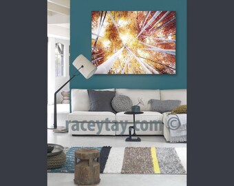 Large Wall Art Nature Photography Canvas, Rustic Wall Decor, Bamboo Forest, Yellow, Gold, White
