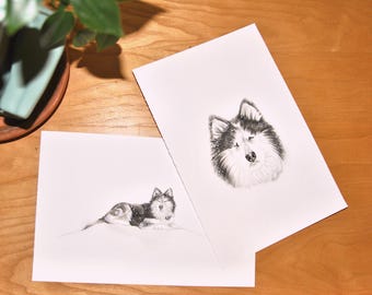 Retratos de mascotas en acuarela