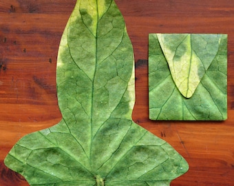 Tolkien Leaf - Sobre interior - Admite tarjetas de 5" - Se adapta a sobres de 6"