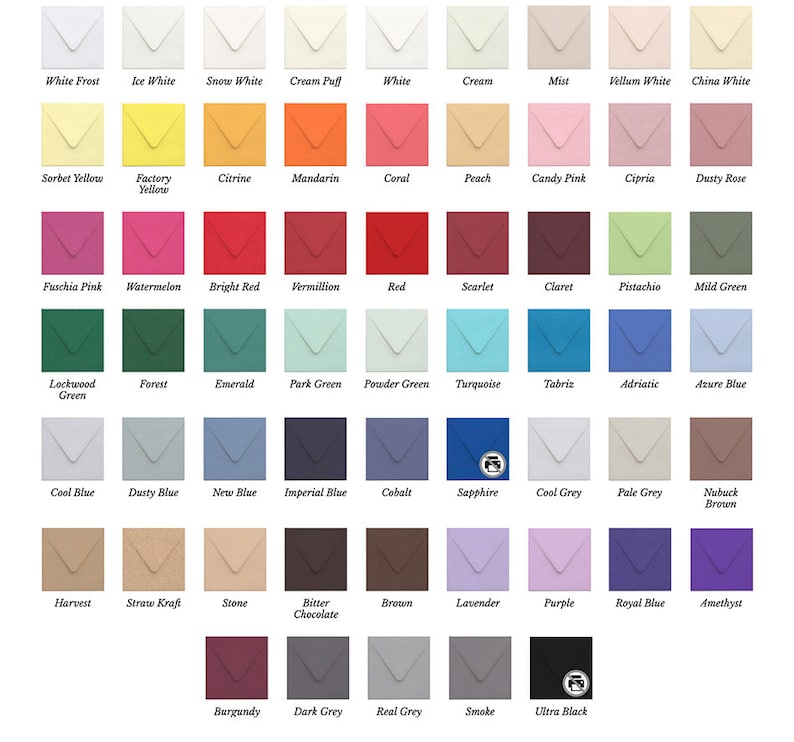 Custom Designed Envelope Liner + Envelope - PACK OF 25 - Select ...