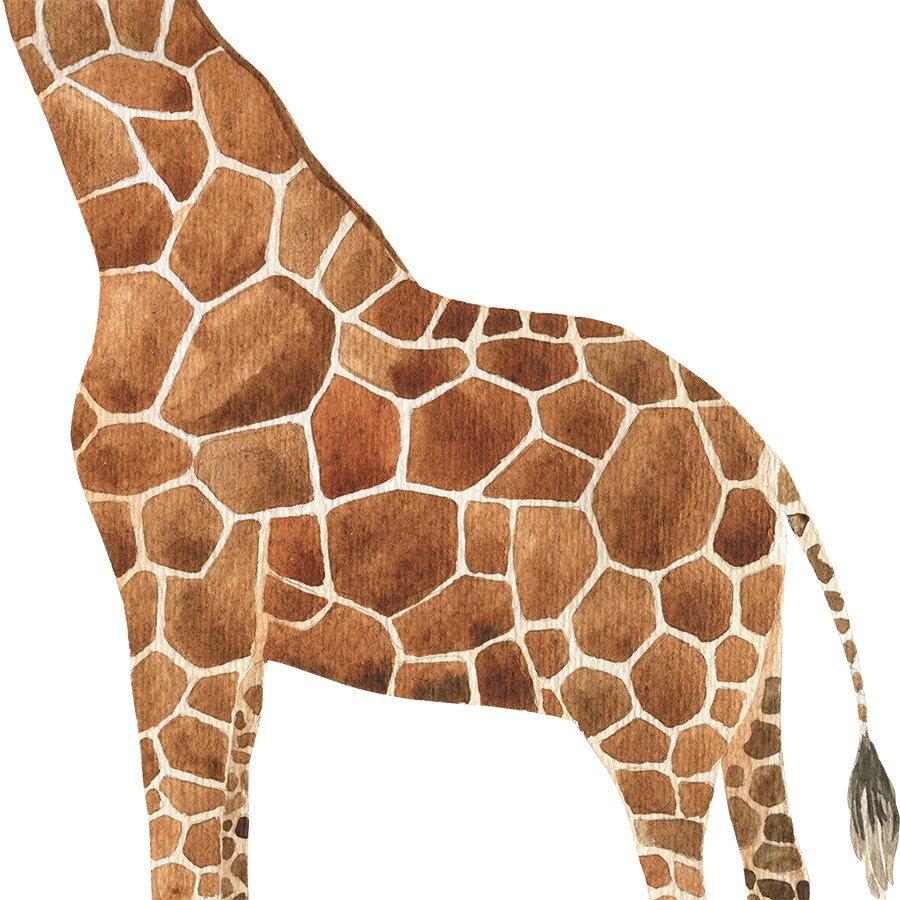 Safari Wall Decal Jungle Animals Wall Decal Wallsticker Set Etsy