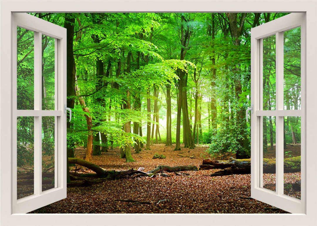 Forest Wall Decal 3d Window Wall Decal Window Frame Nature Etsy