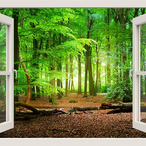 Forest Wall Decal 3d Window Wall Decal Window Frame Nature Etsy