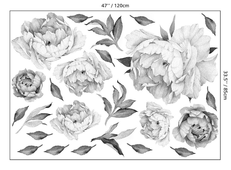 Peony Flowers Wall Decal Black and White Watercolor Peonies Etsy