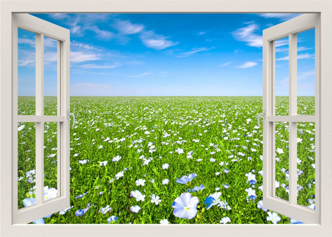 Window Flower Field View Flowers Field Wall Decal, 3d Window Wall Decal, Window Frame, Window ...