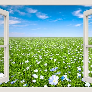 Flowers Field Wall Decal, 3d Window Wall Decal, Window Frame, Window View Wall Mural, Nature Wall Decal, Bedroom Living Room Home Wall Decor