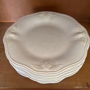 Vintage set of 5 Butlers Pantry Gourmet by Lenox nine inch salad plates.