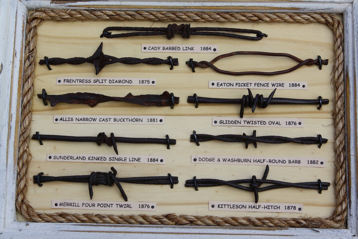 Antique Barbed Wire Display Authentic Barb wire Collection 24 Etsy