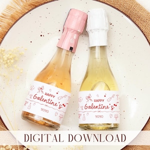 Happy Galentine's Mini Champagner/Prosecco-Etiketten, Galentiner Gastgeschenke, Galentiner-Tagesgeschenke, SOFORTIGER DOWNLOAD
