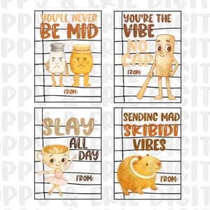 May include: Four digital art cards with cartoon characters and text. The cards feature a salt shaker and honey pot with the text "You'll Never Be Mid", a baseball bat with "You're The Vibe No Cap", a coffee cup with "Slay All Day", and a guinea pig with "Sending Mad Skibidi Vibes".
