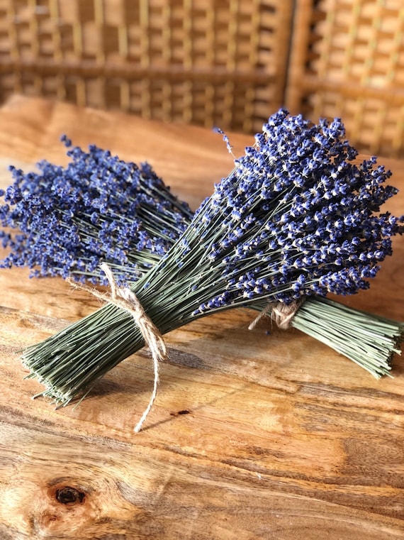 Dried Lavender Bouquet: Vibrantly Colored English Lavender Bundle, Bunch,  for Wedding Flowers, for Home Decor, for Lavender Lovers 