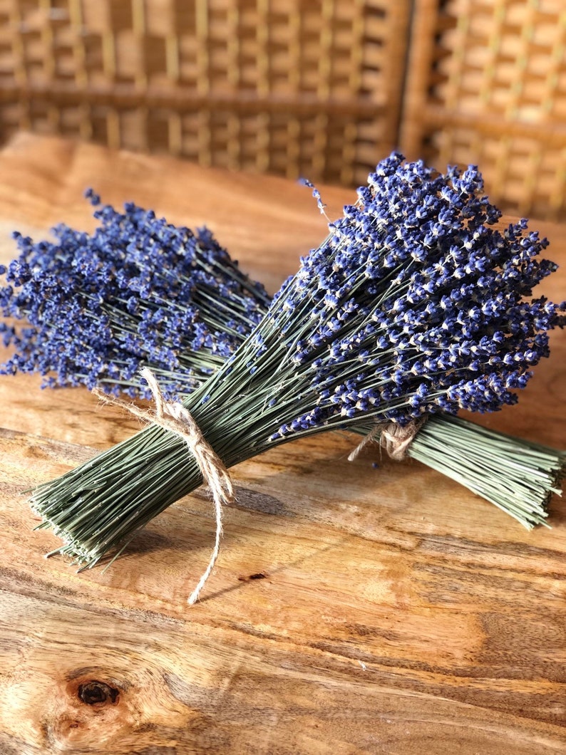 1 Dried Lavender Bouquet Vibrantly Colored English Lavender Etsy