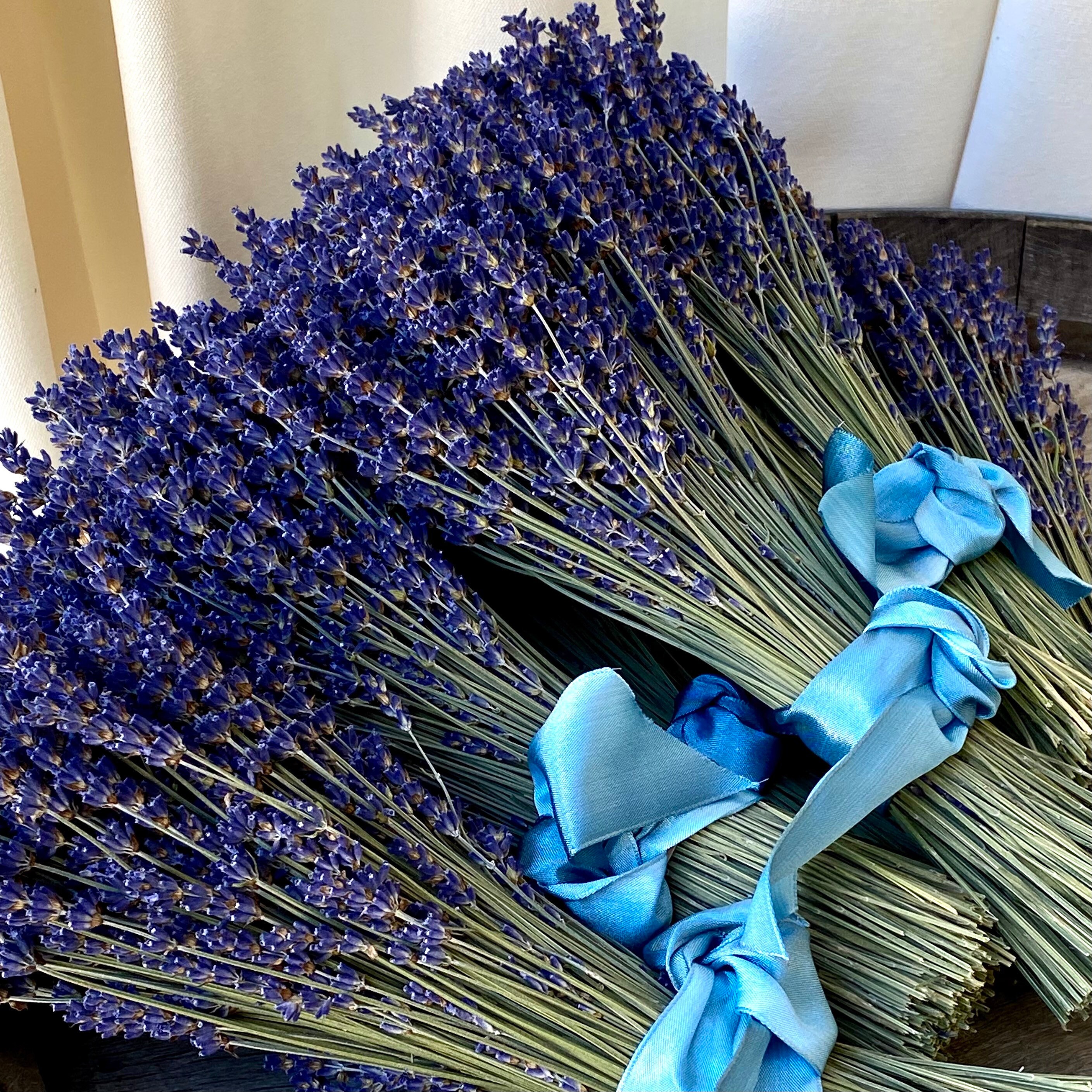 2 Dried Lavender Bouquets Vibrantly Colored English Lavender Etsy