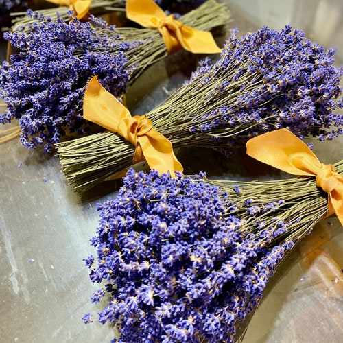 Dried Lavender Bouquet Vibrantly Colored English Lavender Etsy