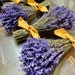 Dried Lavender Bouquet: Vibrantly Colored English Lavender Bundle, Bunch, Wedding Flowers & Home Decor, Holiday Decor for Lavender Lovers