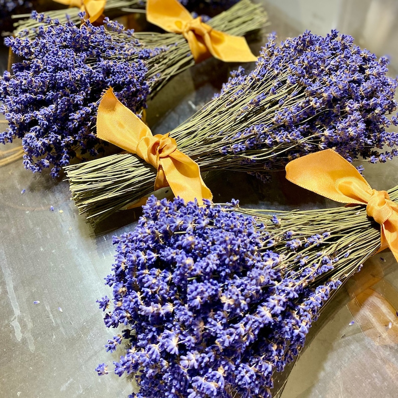 Dried Lavender Bouquet: Vibrantly Colored English Lavender Bundle, Bunch, Wedding Flowers & Home Decor, Holiday Decor for Lavender Lovers 