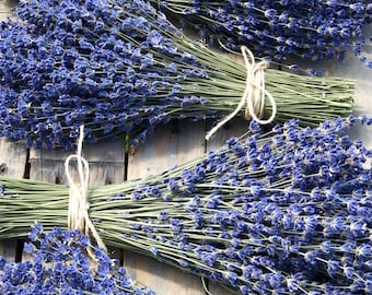 4 Dried Lavender Bouquets for Wedding Flowers and Home Decor: Vibrantly Colored English Lavender Bundle, Bunch for Lavender Lovers