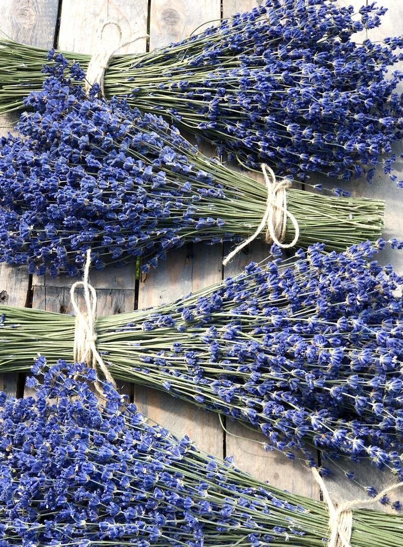 4 Dried Lavender Bouquets: Vibrantly Colored English Lavender Bundle
