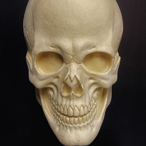 Halloween Skull Mask-Special FX Makeup, Cosplay, Film, Stage, Theater - Sculpted & Painted by CWSFX