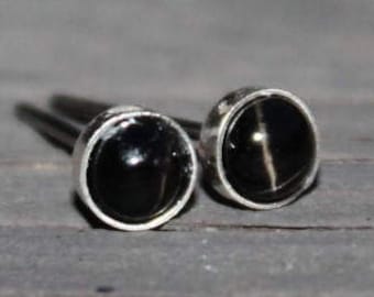 Black Star Diopside Gemstone Titanium Earrings Studs / 4mm Cabochon Bezel Set / Earrings for Sensitive Ears