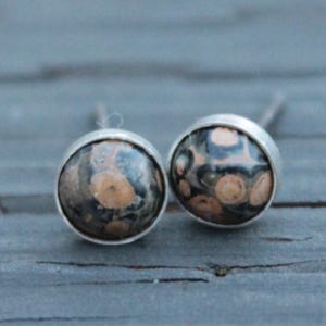 May include: A pair of silver stud earrings with a black and brown patterned stone.