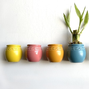 May include: Five small ceramic pots in different colors, including yellow, pink, orange, blue, and green, are attached to a white wall. A small potted plant with green leaves is in the center.