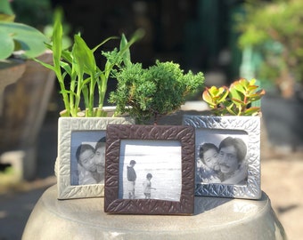 Plant of Choice in Picture Frame Pot w/ Free Shipping