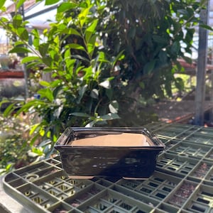 6&quot; Glazed Ceramic Rectangular Bonsai Pot