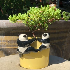 Hanging Miniature Panda Figurine
