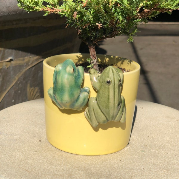 Figura de rana en miniatura colgante