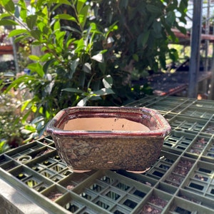 May include: A square, brown and green ceramic bonsai pot with a red rim. The pot has a textured surface and is empty.