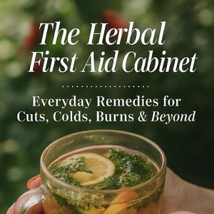 Herbal Medicine Guide Top 10 Healing Herbs Remedies PDF eBook