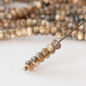 May include: Close-up of a strand of natural shell beads in shades of tan, brown, and iridescent hues. The beads are strung on a thin wire, with a gold-colored bead at the end. The background shows more beads, suggesting a jewelry-making theme.