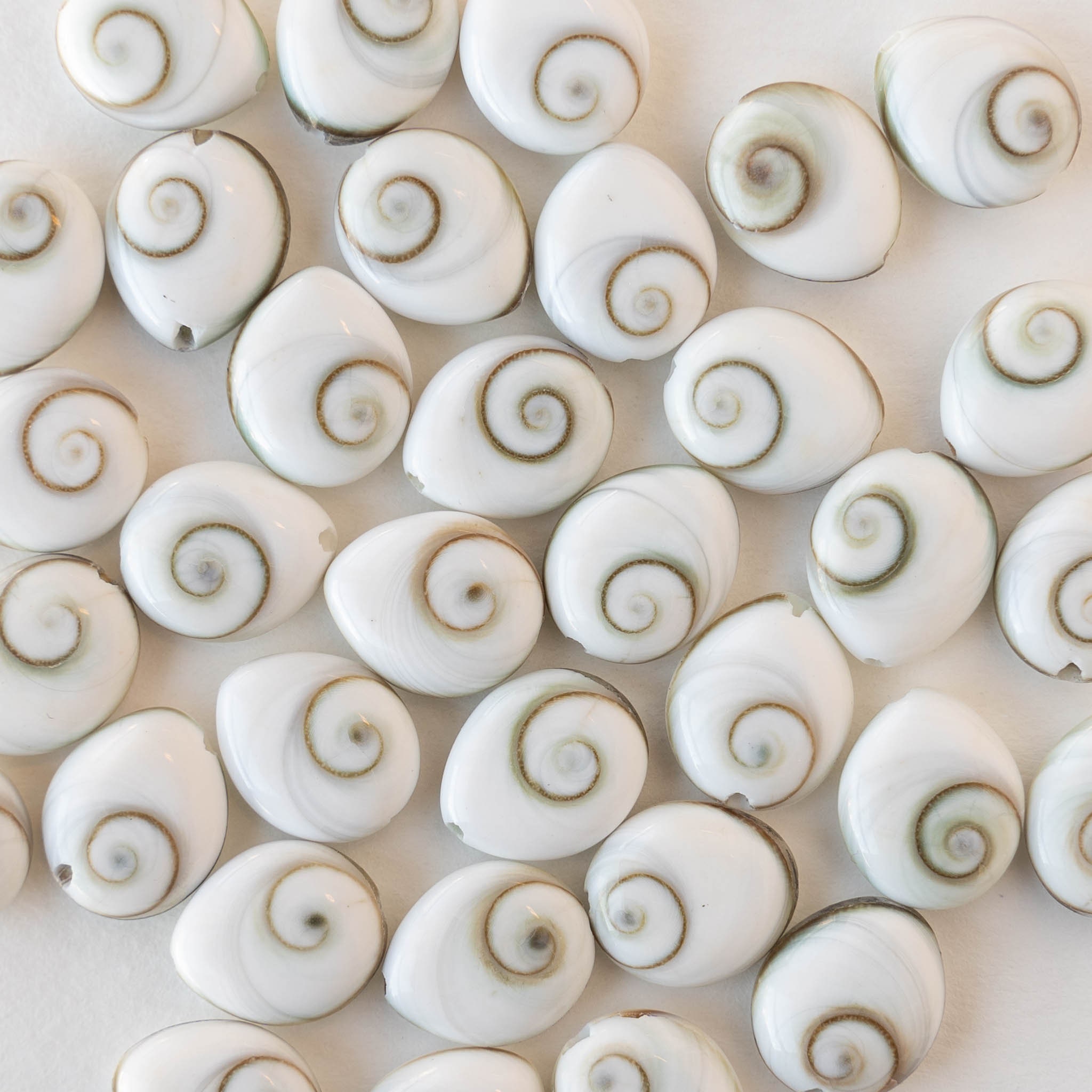 12mm Spiral Shell Teardrop Bead - Sea Shell Beads for Jewelry Making ...