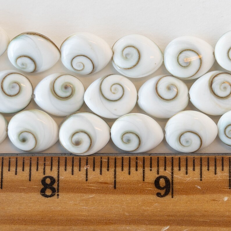 12mm Spiral Shell Teardrop Bead - Sea Shell Beads for Jewelry Making ...