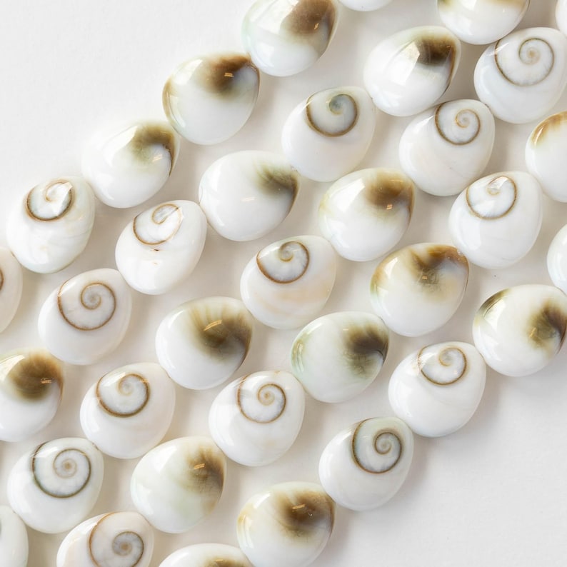 12mm Spiral Shell Teardrop Bead - Sea Shell Beads for Jewelry Making ...