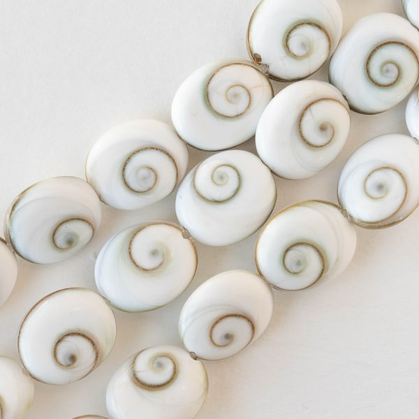 Spiral Shell Oval - Sea Shell Beads For Jewelry Making - 6 beads