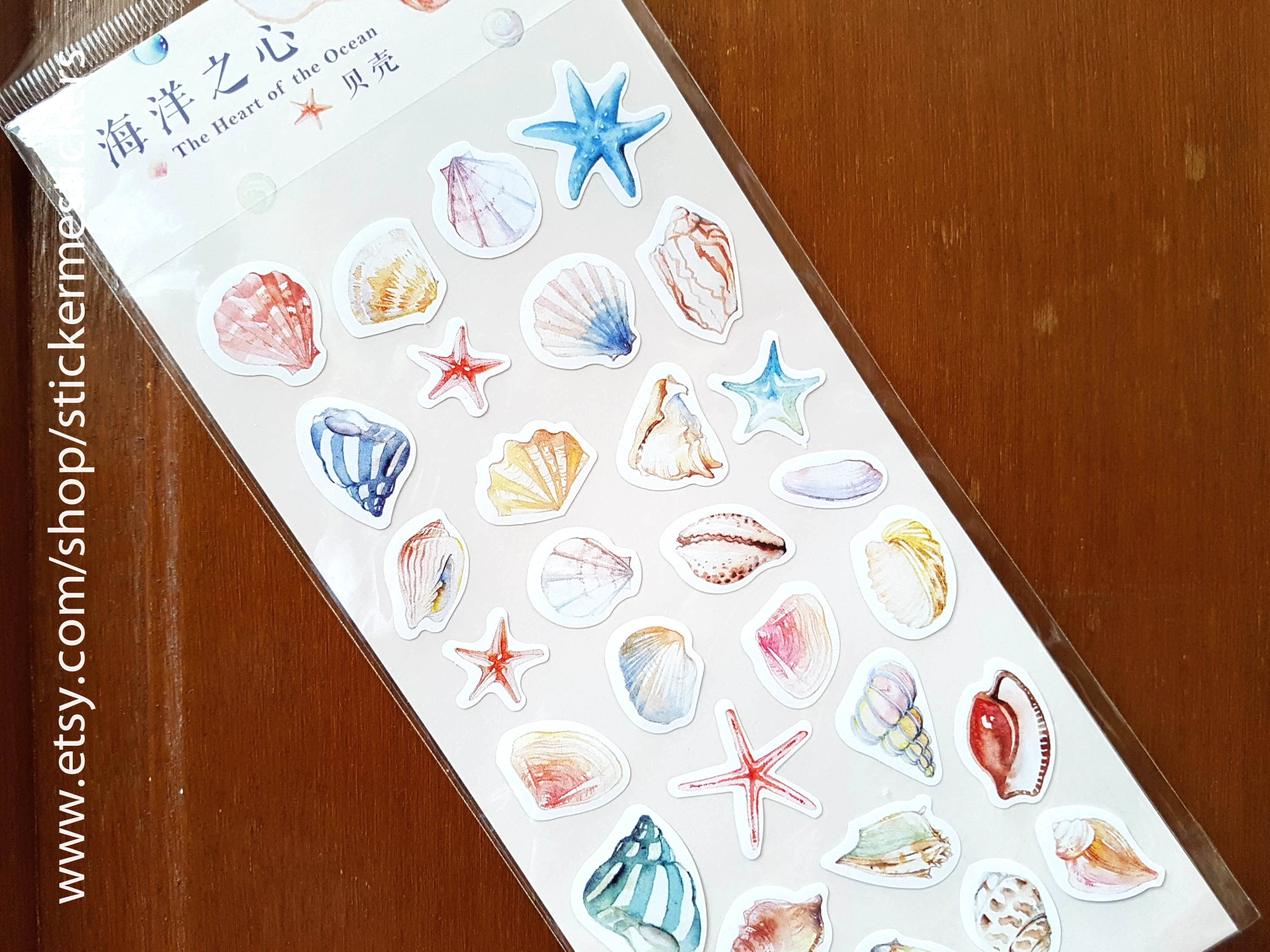 Seashell stickers Sea Shell stickers Starfish sticker Shell | Etsy
