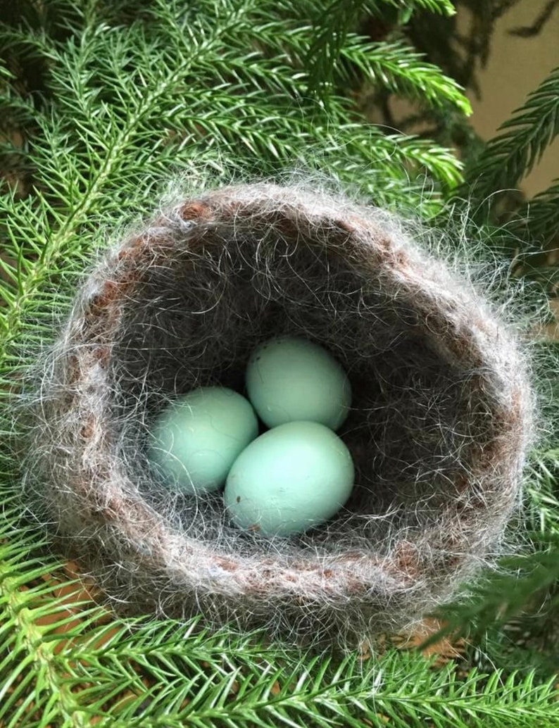 Bird Nest Handmade Wool with 2 Robins Eggs Etsy