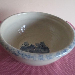 May include: A white ceramic bowl with a blue and white rim and a blue and white apple design. The bowl is on a pink surface.