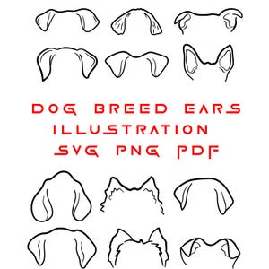 May include: A set of black and white line drawings of different dog breed ears. The text "DOG BREED EARS ILLUSTRATION SVG PNG PDF" is written below the drawings.