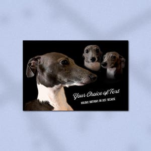 Cartão postal personalizado com retrato de animal de estimação Saudação personalizada Feriado personalizado Retrato engraçado Retrato dramático