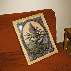 Vintage Apothecary Botanical Print – Art Nouveau Herbal Wall Art, 310gsm Luxury Paper V1 image 4
